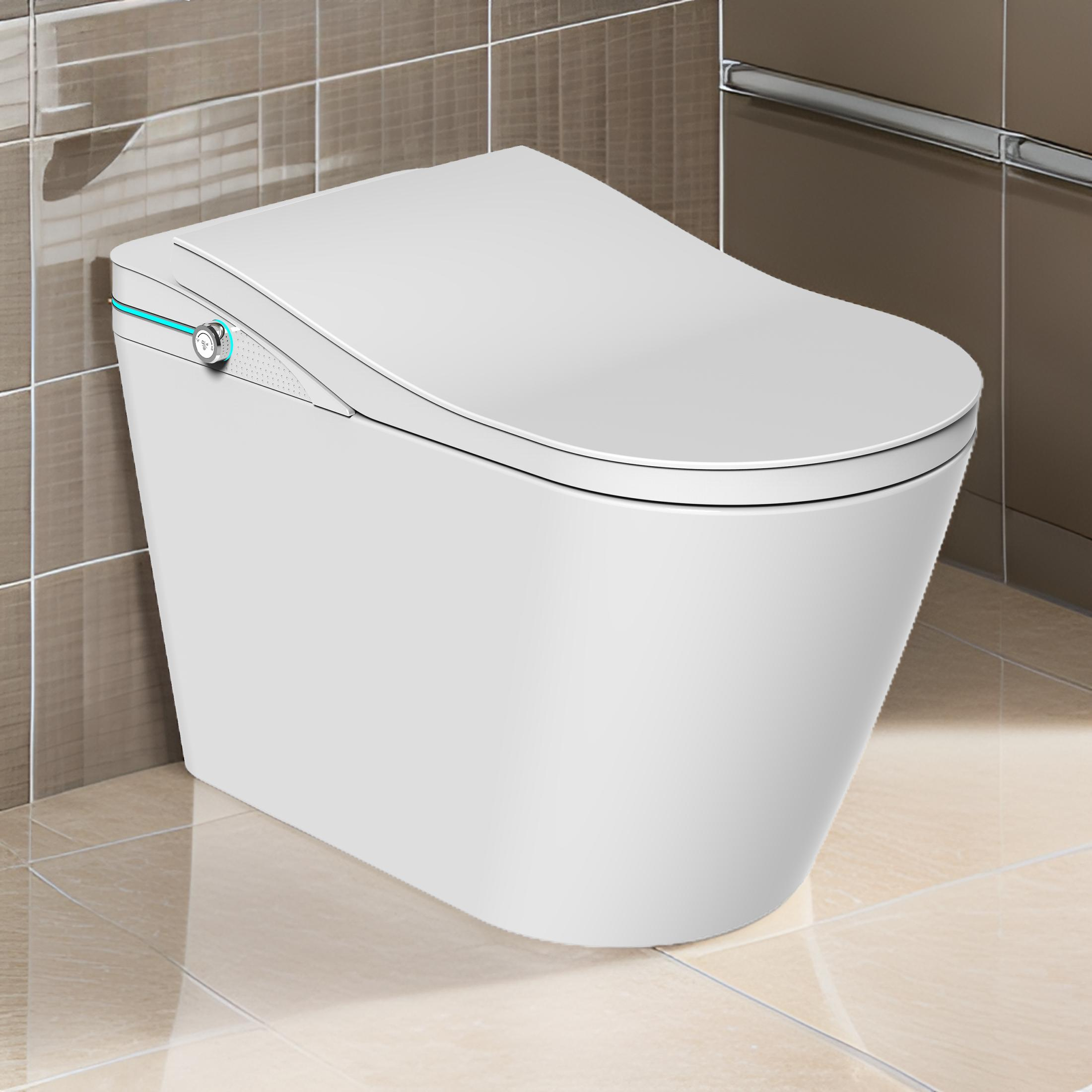 STK1 Smart Toilet