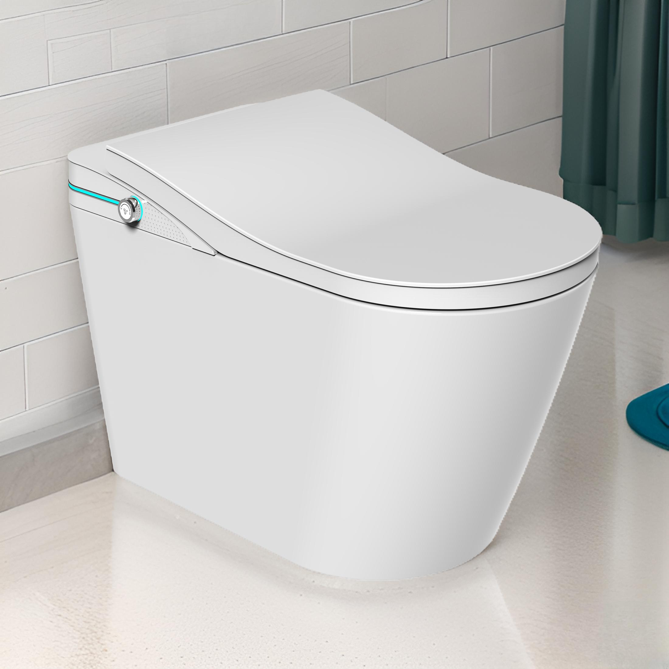 STK1 Smart Toilet