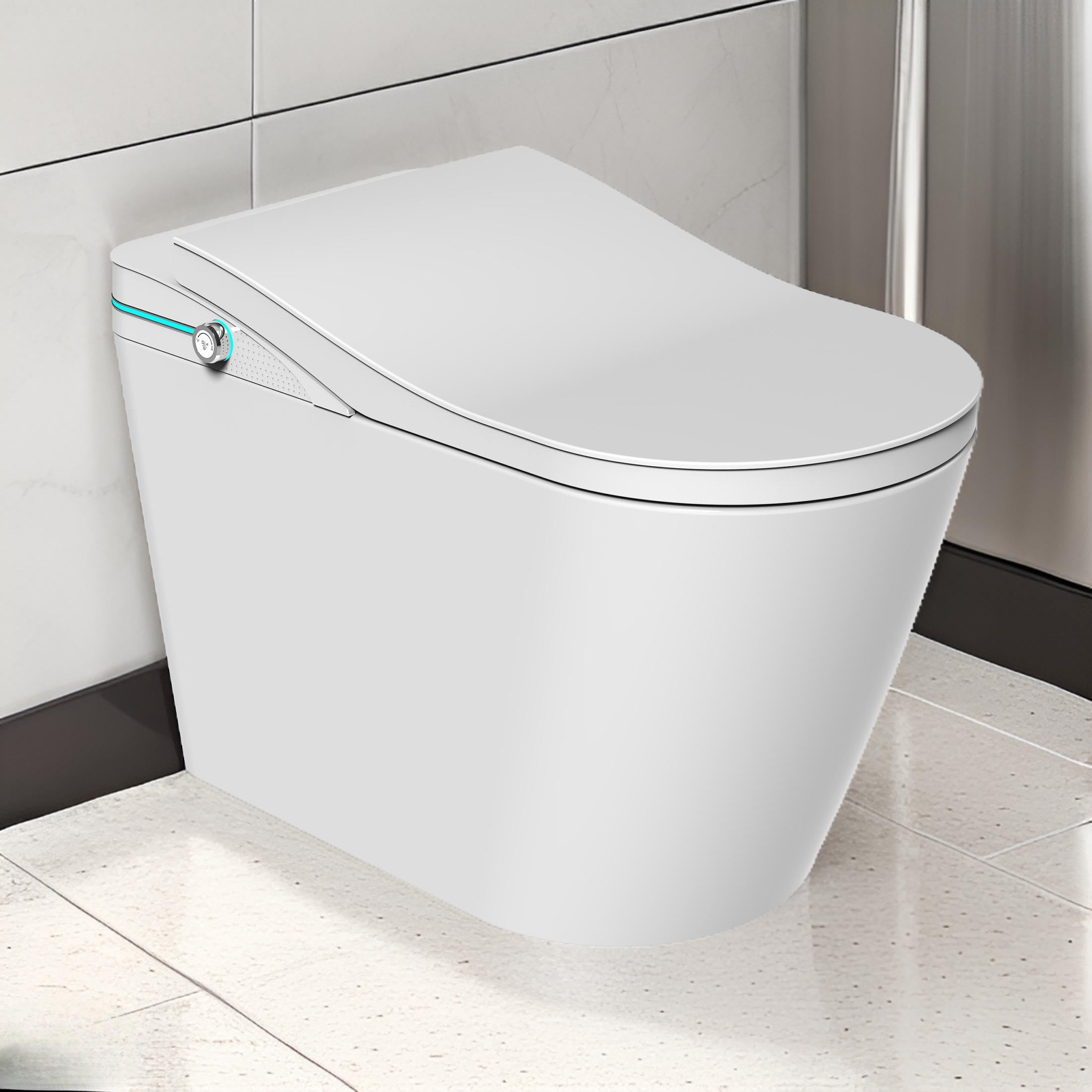 STK1 Smart Toilet