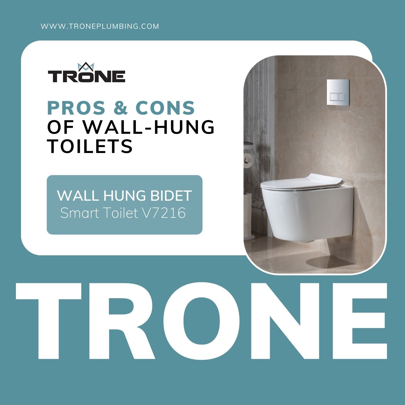 Photo of Trone Wall-Hung Bidet Toilet.