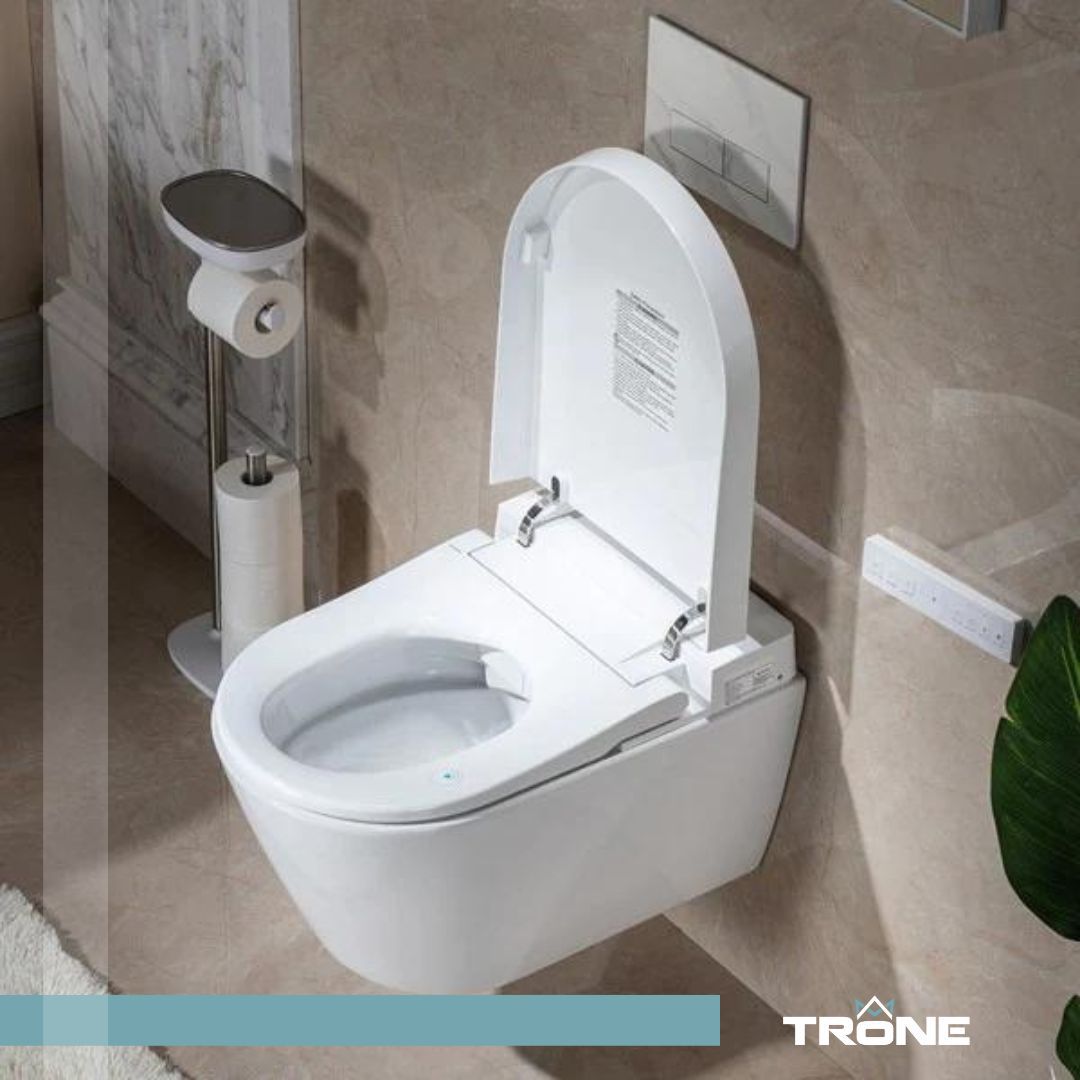 Photo of a Trone toilet.