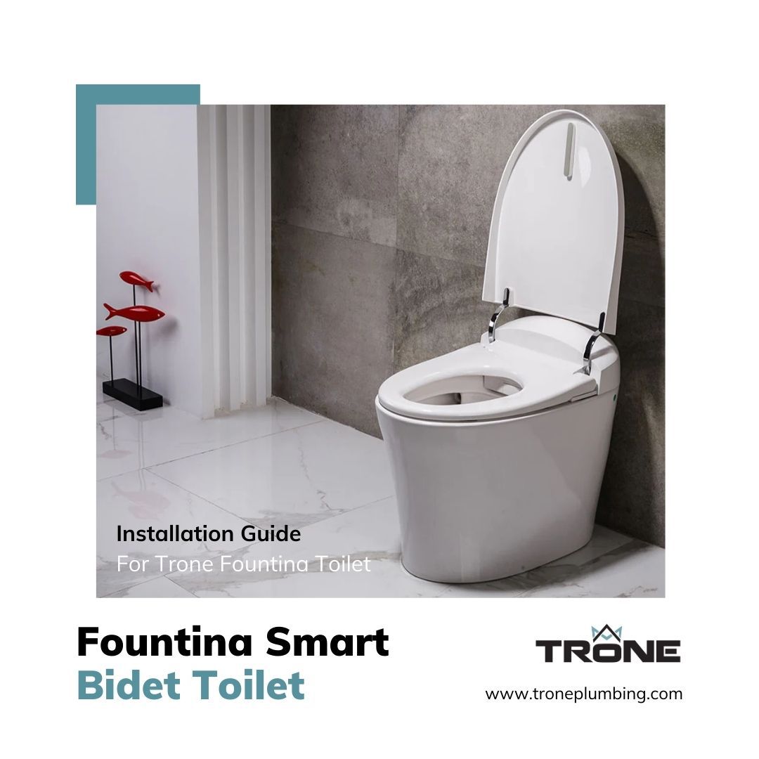 Image of Trone Fountina bidet toilet.