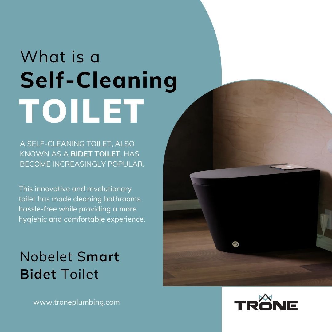 An infographic of Trone Nobelet Bidet Toilet.