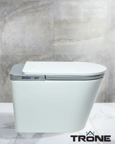 A photo of a Trone toilet.